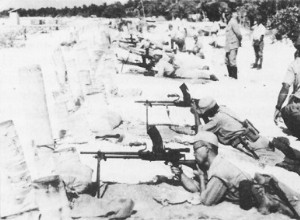 The Japanese sprang from the bush 