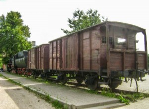 Тебя только что отправили в Сибирь? Мы покажем вам в 5 пунктах, что нужно делать, чтобы выжить 