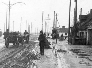 Деревенский врач. Худшая профессия довоенной Польши? 
