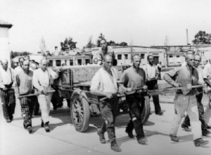 For what could the  Aryan  be sent to a concentration camp? 