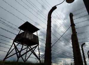 ヴィトルト・ピレッキはどの政党に投票するでしょうか? 