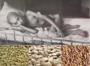 人々は飢えており、穀物を隠していました。科学のために多数の人を殺すことは許されるのでしょうか？ 