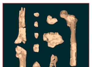 Descubrimiento de Orrorin Tugenensis 