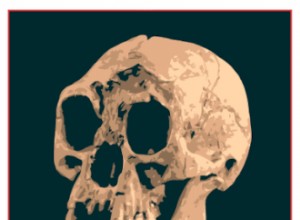 Discovery of the Man of Flores 