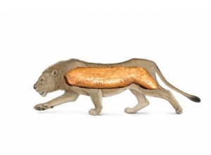 In Siberia, the Denisova cave reveals a new treasure 
