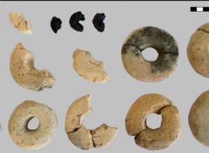 Discovery of mysterious grain rings in Austria 