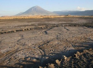 アフリカで発見された先史時代の人類の足跡としては最大規模 