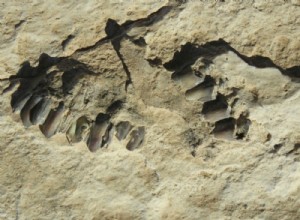 В Саудовской Аравии обнаружены человеческие следы возрастом 120 000 лет 