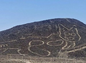 ペルー：ナスカ砂漠で発見された猫の地上絵 