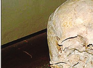 The (Forgotten) Skeleton of Pliny the Elder 