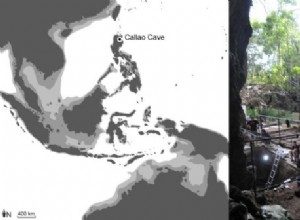 New Homo species discovered in the Philippines 