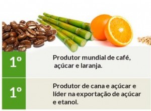 Brazil s economy 
