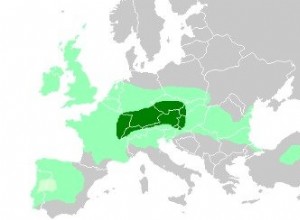 Celts 