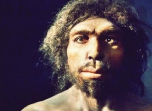 最古の人類遺伝物質が発見されました…80万年前のものです！ 