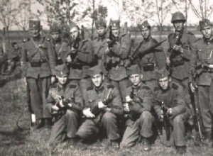 Serbian Volunteer Corps... The  legion of Serbian traitors  of WWII 